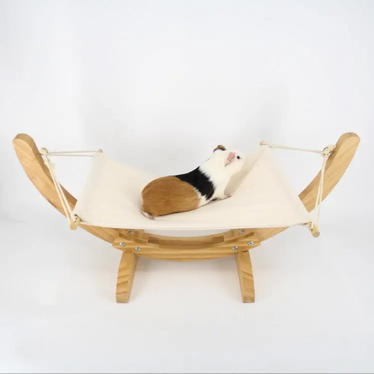 Simple Hanging Hammock Cat
